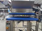 Quantum Conveyorized Topping Applicator With Reclaim Conveyor